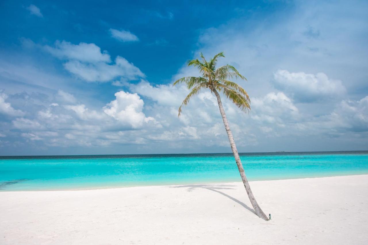 Brickwood Rasdhoo- Beach Front Zewnętrze zdjęcie